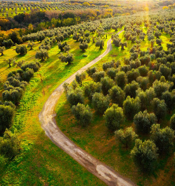 Azione per il Clima non Mitigazione del Rischio